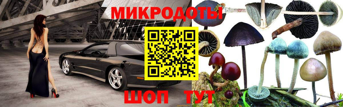 Находка  Псилоцибиновые грибы Psilocybe  Вход с VPN  Галлюциногенные грибы Psilocybine cubensis 