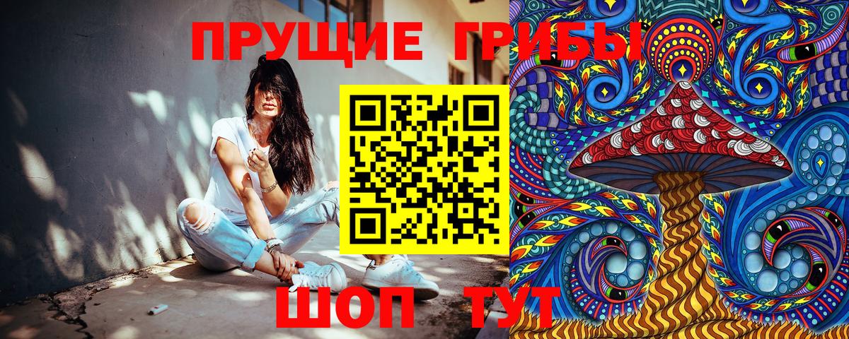 Галлюциногенные грибы Psilocybine cubensis Находка